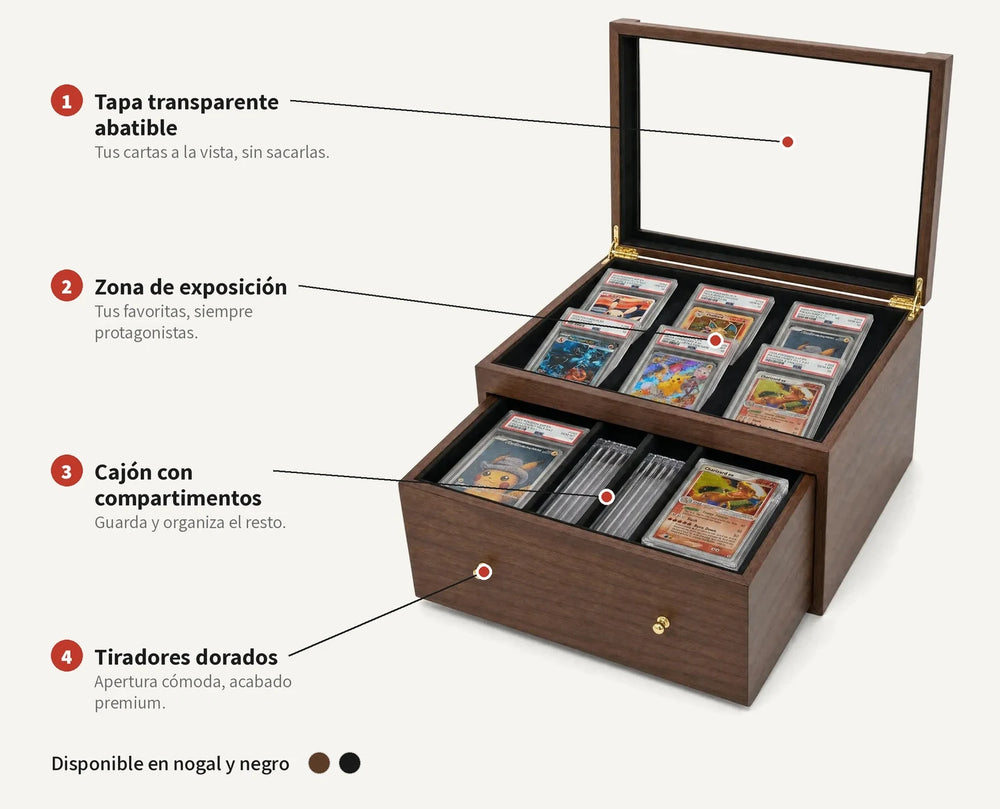 Les deux finitions · Infographie : couvercle transparent relevable, zone d'exposition, tiroir à compartiments et poignées dorées